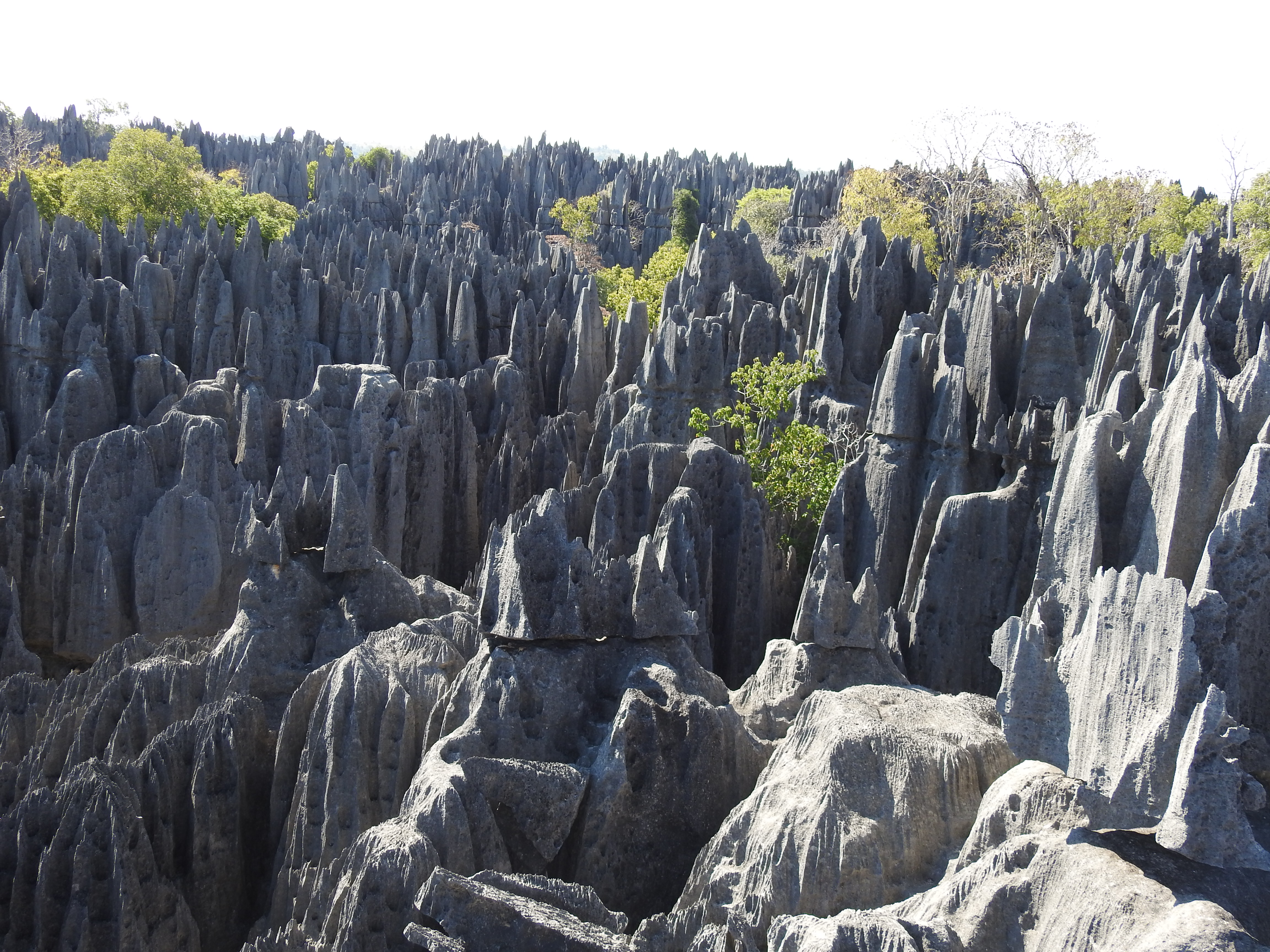 Tsingy de Bemaraha - UNESCO Weltnaturerbe